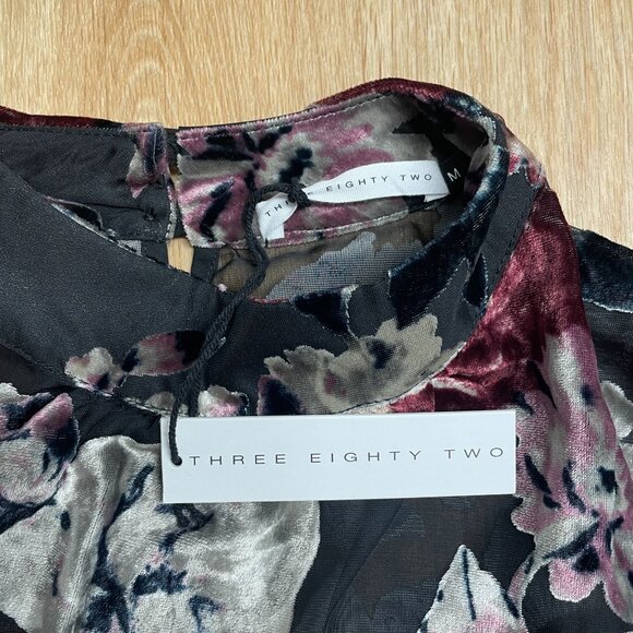THREE EIGHTY TWO VELVET BURNOUT DRESS SEMI SHEER FLORAL GOTH ROMANTIC SIZE M - Picture 5 of 11